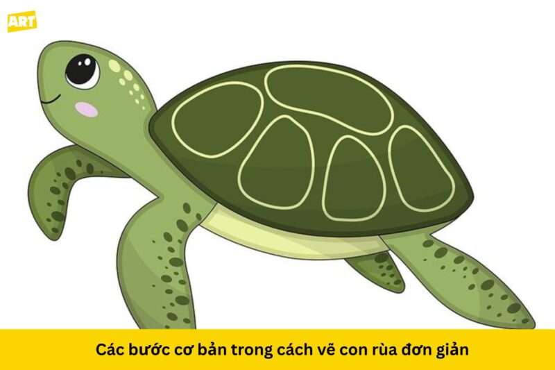 Bí Quyết Cách Vẽ Con Rùa Đơn Giản Tại Nhà Bí Quyết Cách Vẽ Con Rùa Đơn Giản Tại Nhà