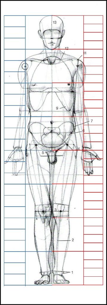 Giải phẫu hình thể cho các bạn ôn thi khối H ( Phần 1 )