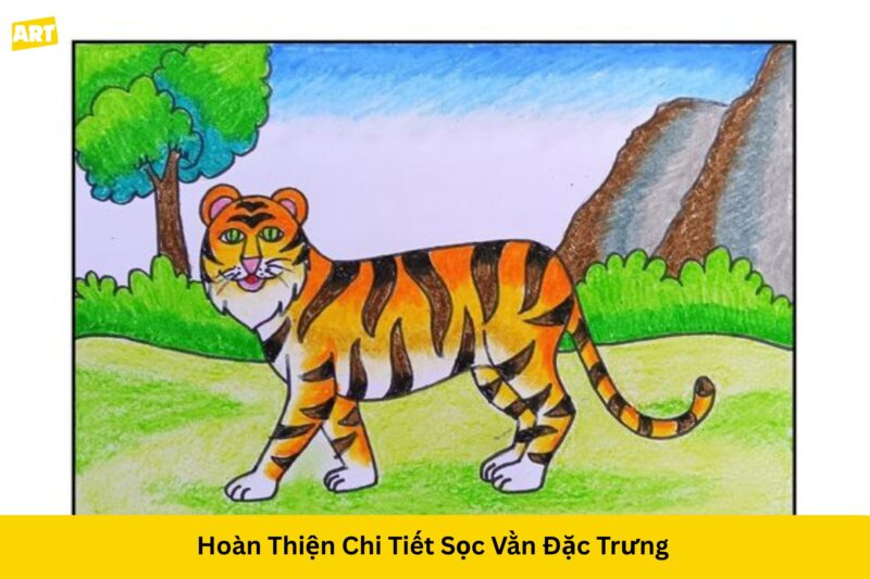Hướng Dẫn Cách Vẽ Con Hổ Đơn Giản Chi Tiết Hướng Dẫn Cách Vẽ Con Hổ Đơn Giản Chi Tiết