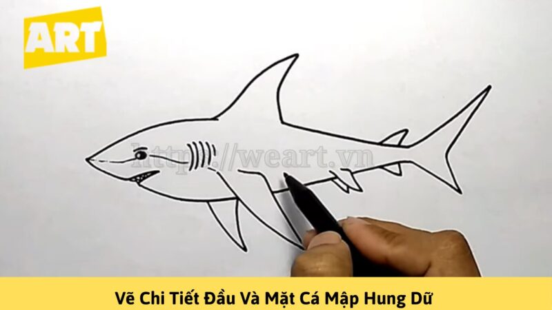 Cách Vẽ Con Cá Mập Đơn Giản Chỉ Với Vài Bước Cách Vẽ Con Cá Mập Đơn Giản Chỉ Với Vài Bước