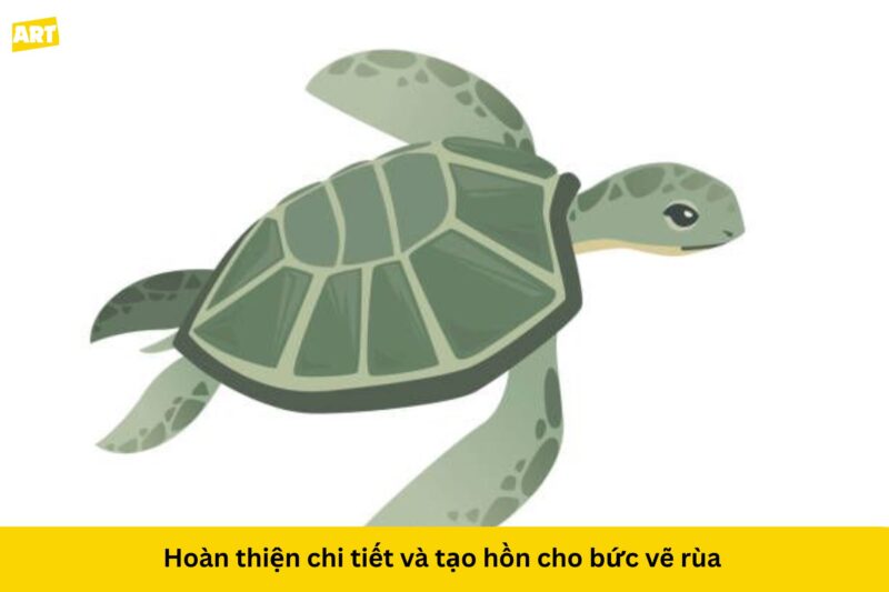 Bí Quyết Cách Vẽ Con Rùa Đơn Giản Tại Nhà Bí Quyết Cách Vẽ Con Rùa Đơn Giản Tại Nhà