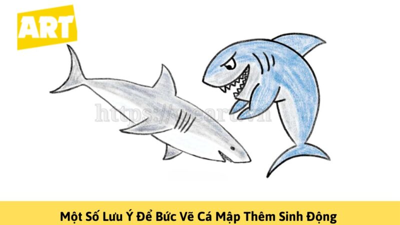 Cách Vẽ Con Cá Mập Đơn Giản Chỉ Với Vài Bước Cách Vẽ Con Cá Mập Đơn Giản Chỉ Với Vài Bước