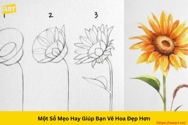Khám Phá Cách Vẽ Hoa Đơn Giản Nhất Cho Người Mới Bắt Đầu Khám Phá Cách Vẽ Hoa Đơn Giản Nhất Cho Người Mới Bắt Đầu