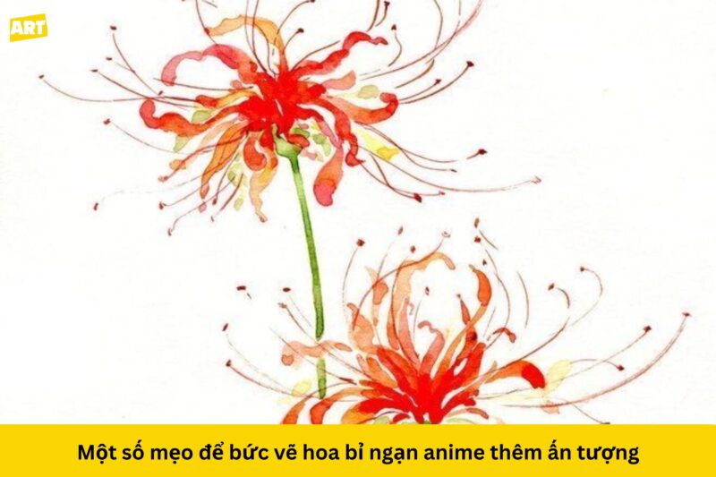 Hướng dẫn chi tiết cách vẽ hoa bỉ ngạn anime tuyệt đẹp Hướng dẫn chi tiết cách vẽ hoa bỉ ngạn anime tuyệt đẹp