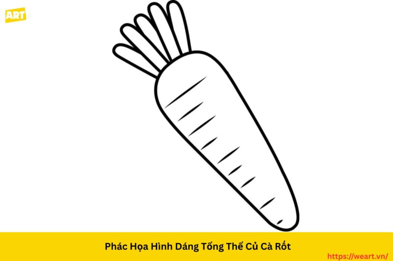 Bí Quyết Chi Tiết **Cách Vẽ Củ Cà Rốt** Giống Thật