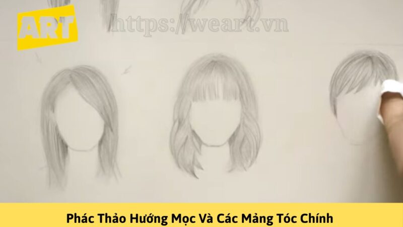 Khám Phá Cách Vẽ Tóc Đơn Giản Cho Người Mới Bắt Đầu Khám Phá Cách Vẽ Tóc Đơn Giản Cho Người Mới Bắt Đầu