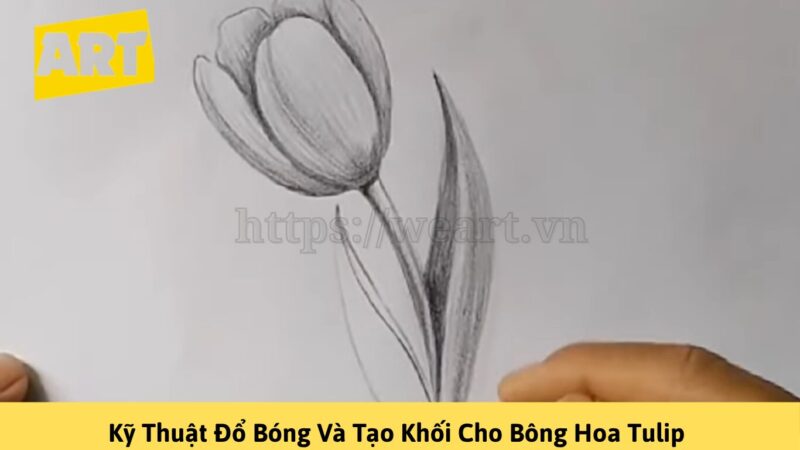 Khám Phá Cách Vẽ Hoa Tulip Đẹp Như Nghệ Sĩ Khám Phá Cách Vẽ Hoa Tulip Đẹp Như Nghệ Sĩ