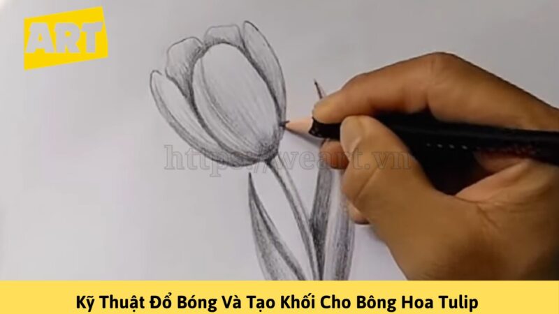 Khám Phá Cách Vẽ Hoa Tulip Đẹp Như Nghệ Sĩ Khám Phá Cách Vẽ Hoa Tulip Đẹp Như Nghệ Sĩ