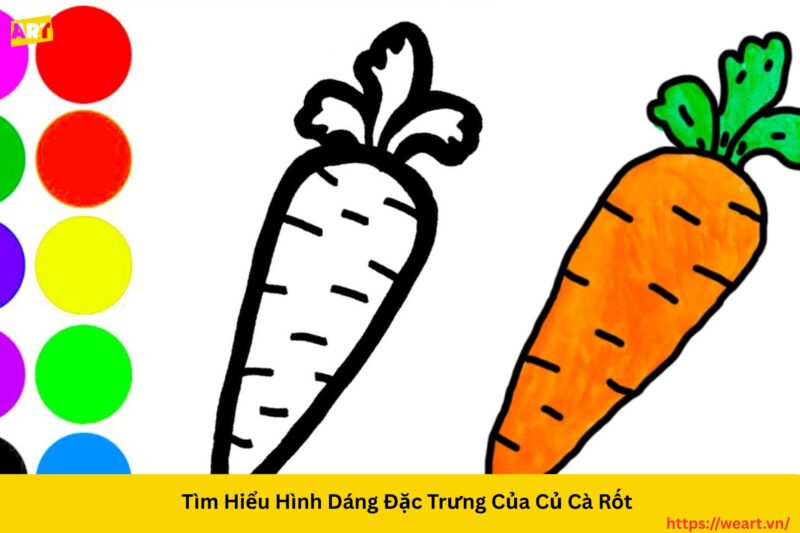 Bí Quyết Chi Tiết **Cách Vẽ Củ Cà Rốt** Giống Thật
