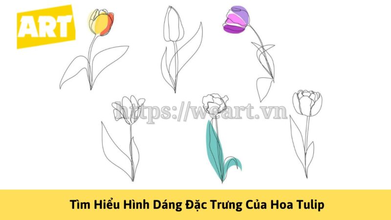 Khám Phá Cách Vẽ Hoa Tulip Đẹp Như Nghệ Sĩ Khám Phá Cách Vẽ Hoa Tulip Đẹp Như Nghệ Sĩ