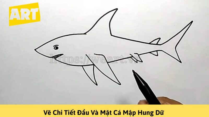 Cách Vẽ Con Cá Mập Đơn Giản Chỉ Với Vài Bước Cách Vẽ Con Cá Mập Đơn Giản Chỉ Với Vài Bước