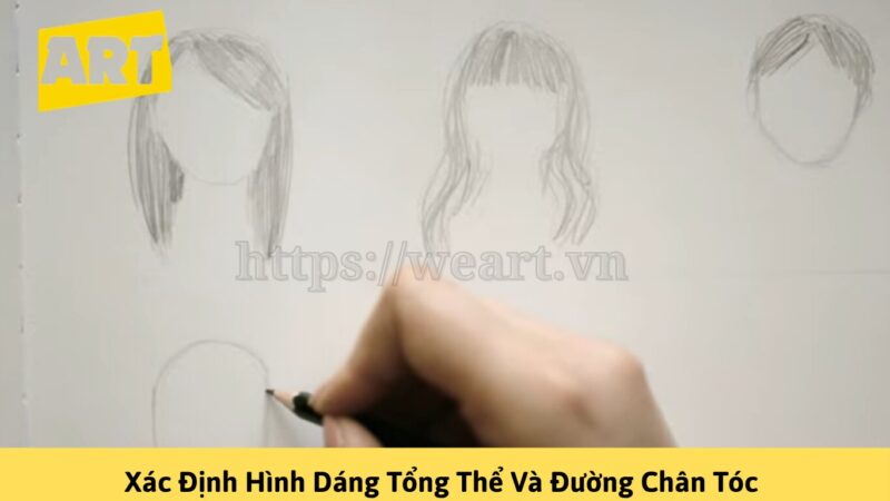 Khám Phá Cách Vẽ Tóc Đơn Giản Cho Người Mới Bắt Đầu Khám Phá Cách Vẽ Tóc Đơn Giản Cho Người Mới Bắt Đầu