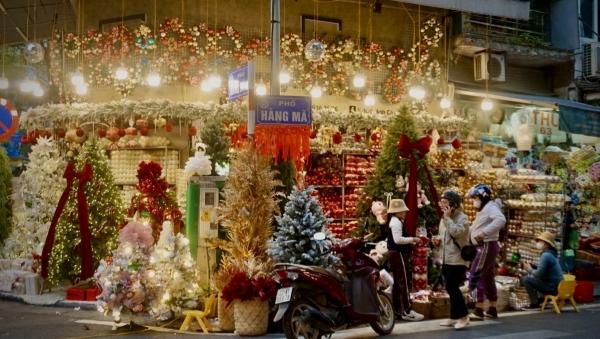 Bảng màu gợi ý với các tông màu đỏ, vàng, cam, xanh lá cây tươi sáng và ấm áp đặc trưng cho ngày Tết