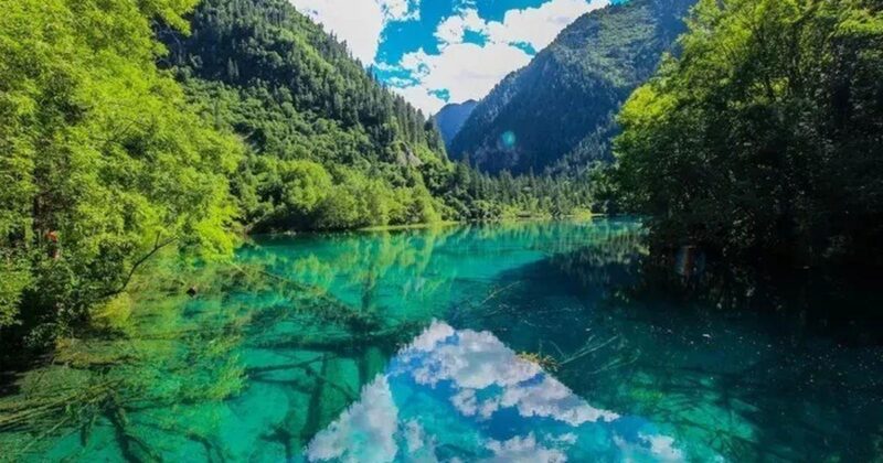 Bức họa cửu vĩ hồ với vẻ đẹp quyến rũ mê hoặc lòng người qua từng nét vẽ