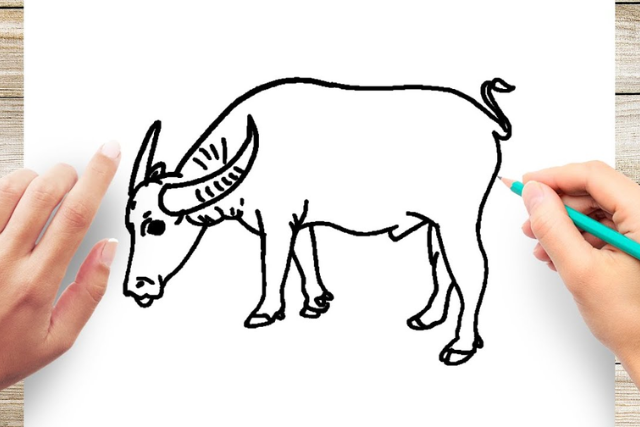 Hình ảnh bức vẽ con trâu đơn giản đã hoàn thiện với các chi tiết cơ bản đẹp mắt