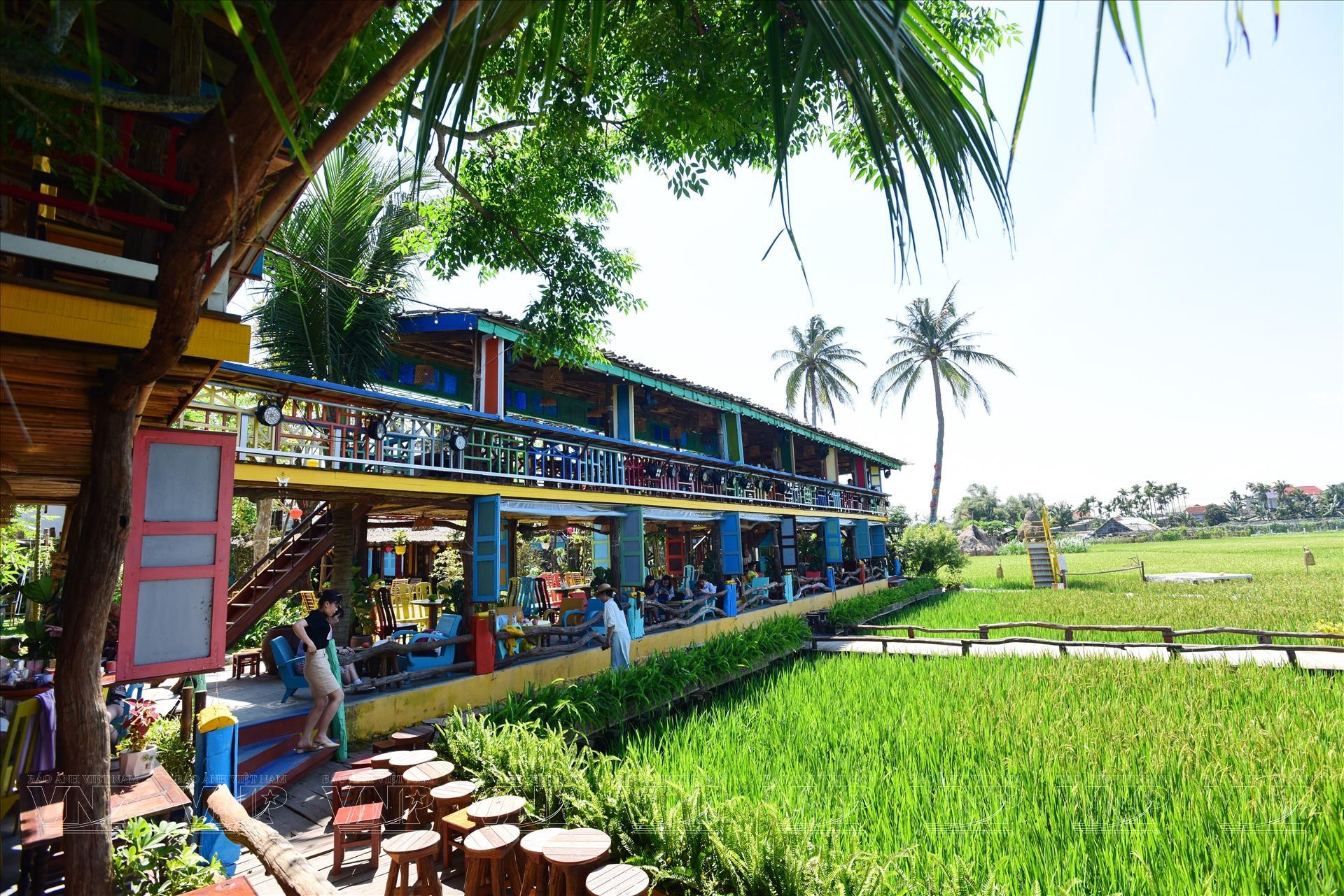 Tranh phong cảnh quê hương Việt Nam đơn giản dễ vẽ cảnh đồng lúa chín vàng óng ả