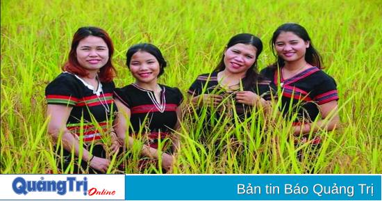 Hướng dẫn chi tiết cách vẽ bông lúa trĩu hạt trong kỹ thuật vẽ cây lúa đơn giản