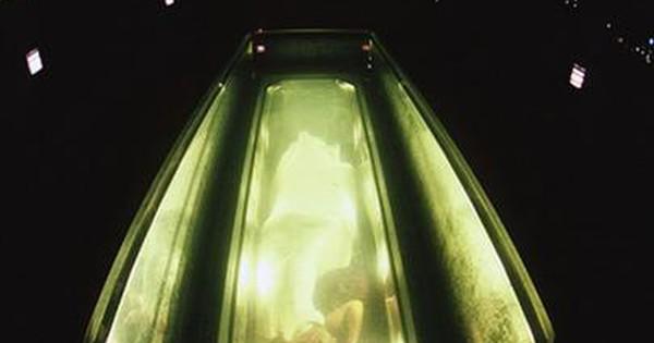 David Blaine biểu diễn ảo thuật đường phố với khán giả vây quanh ngạc nhiên