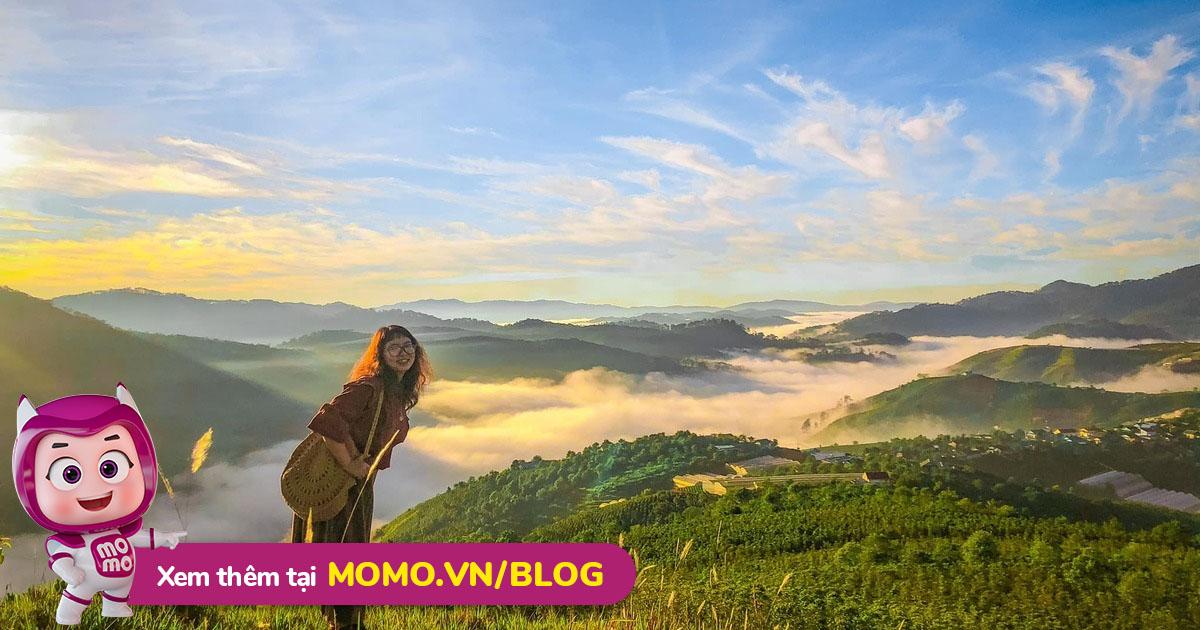 Tranh sơn dầu vẽ đồi cà phê Tây Nguyên bạt ngàn trong sương sớm, ánh nắng nhẹ nhàng chiếu rọi tạo không khí yên bình