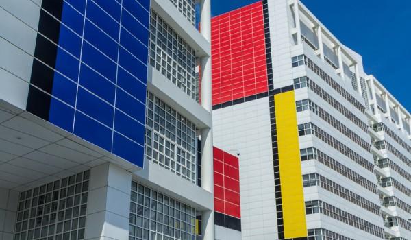 Minh họa đường nét trong hội họa tạo hình dạng và kết cấu cho đối tượng trong tranh vẽ