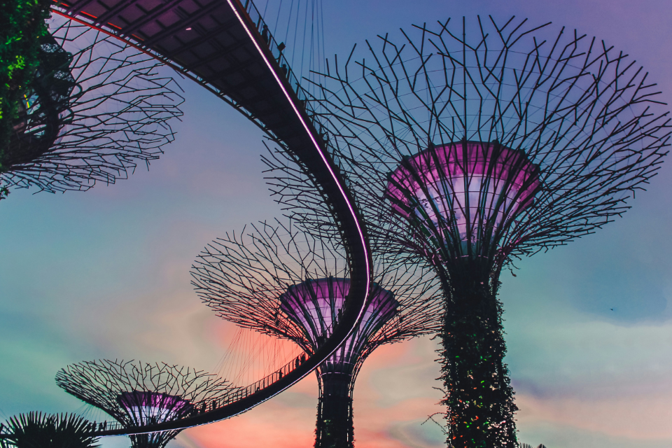 Gardens by the Bay Singapore công trình kiến trúc đương đại xanh với các siêu cây độc đáo và ấn tượng thu hút du khách