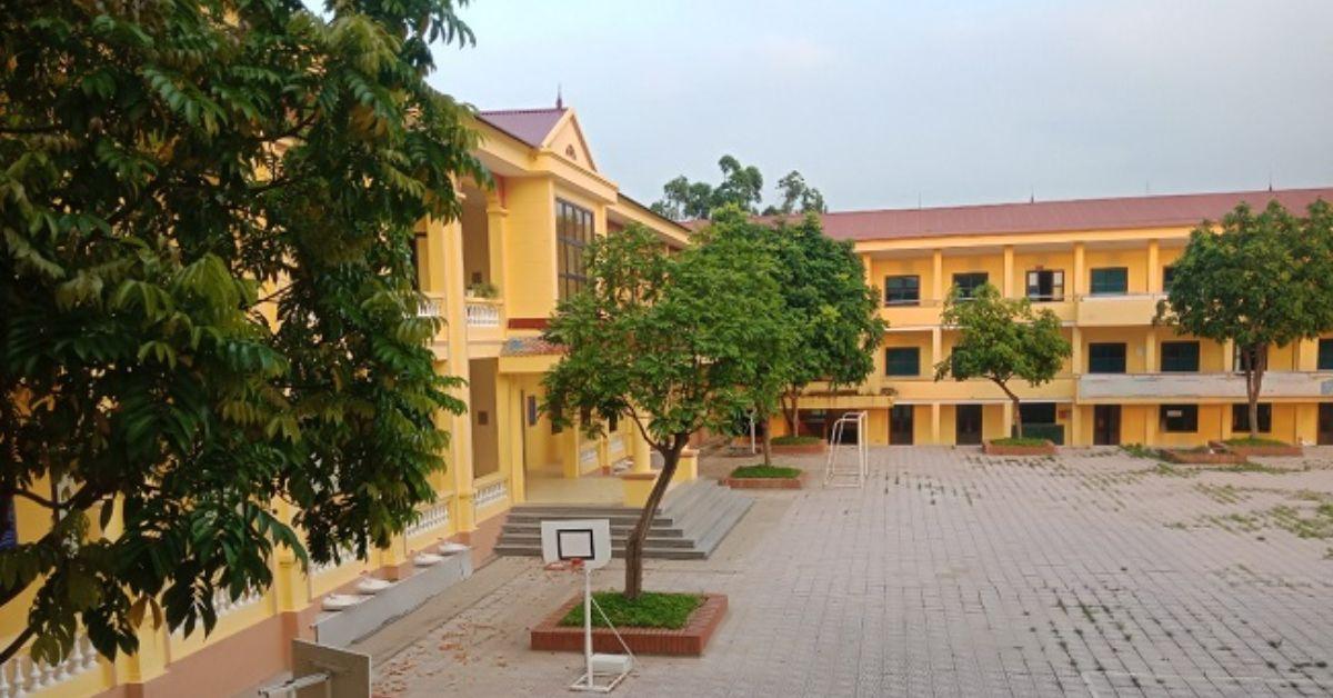 Bức tranh vẽ một góc sân trường thơ mộng với hàng cây xanh và ghế đá cũ kỹ