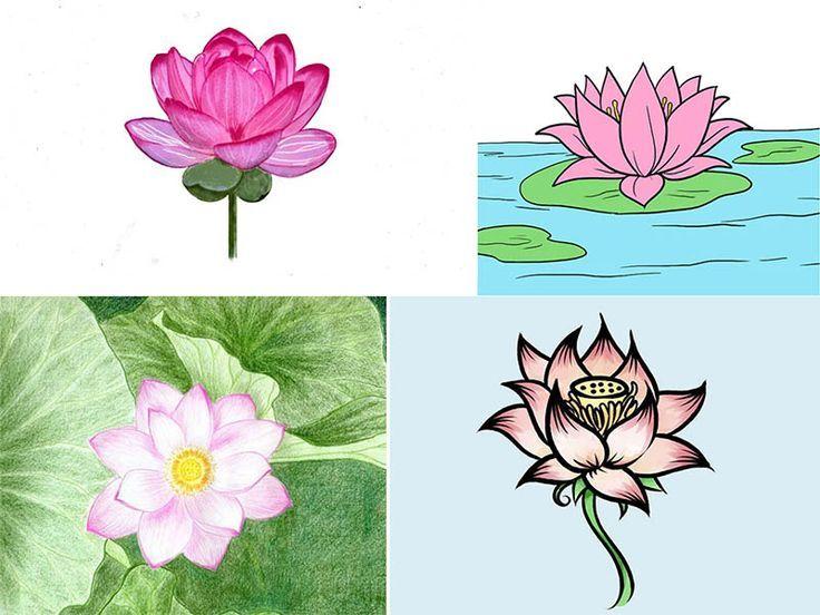 tranh vẽ hoa sen đơn giản