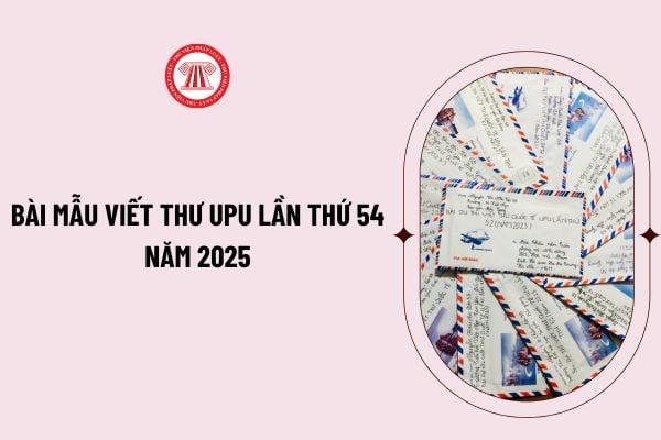 Khám Phá Cách Vẽ Con Rùa Đang Bơi Đẹp Như Thật Bức tranh hoàn thiện về cách vẽ con rùa đang bơi dưới đại dương xanh thẳm đầy màu sắc và chi tiết