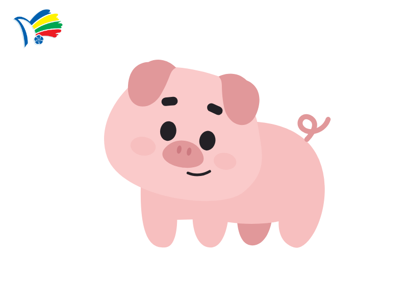 Các bước hoàn thiện chân, đuôi và các đường nét cuối cùng cho chú heo con đơn giản