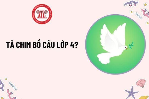 Hướng dẫn vẽ hoàn thiện phần thân và đôi cánh của chim bồ câu với các lớp lông vũ