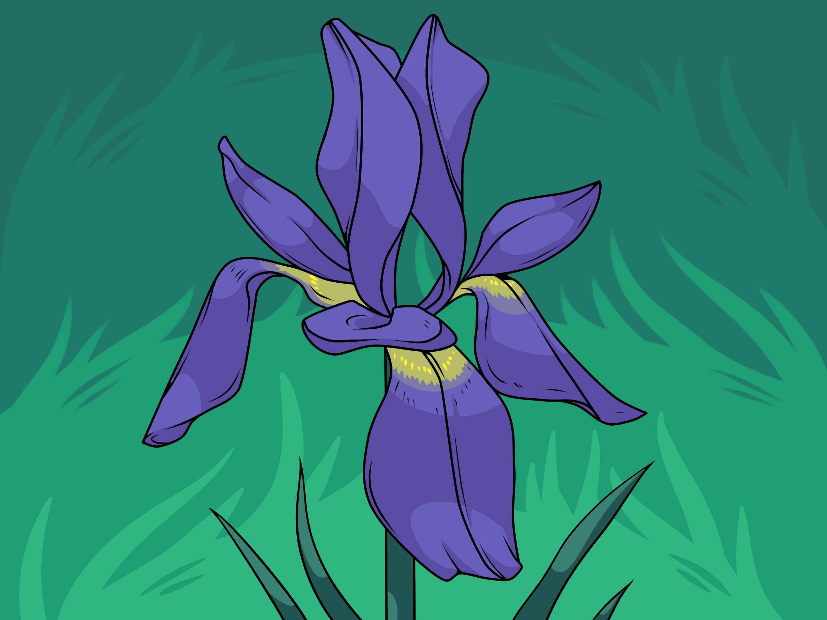 Các bước chi tiết hướng dẫn vẽ một bông hoa hồng đẹp với nhiều lớp cánh tinh tế