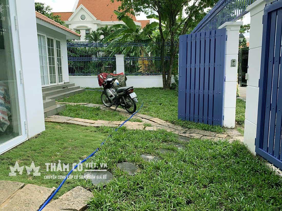 Kỹ thuật tạo chiều sâu và độ dày cho thảm cỏ bằng cách lớp các nét vẽ cỏ