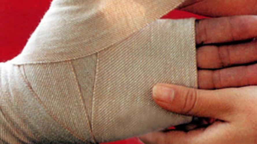 Kỹ thuật tạo độ sâu và bóng đổ nhẹ cho cánh hoa hồng thêm phần thực tế và sống động