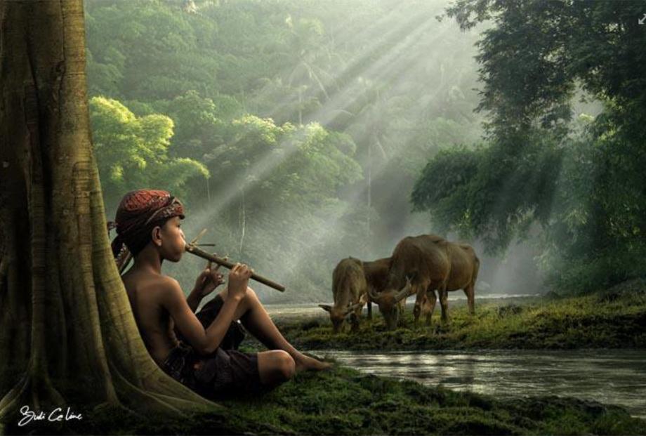 Nét vẽ thiếu nữ áo dài vàng thướt tha bên dòng sông quê hương yên bình