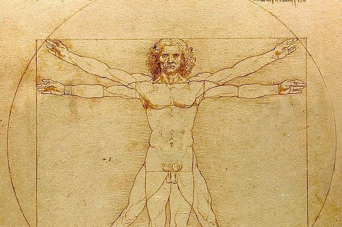 Người Vitruvian của Da Vinci và ứng dụng tỉ lệ vàng trong hội họa cơ thể người