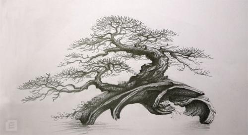 Khám Phá Nét Đẹp **Tranh Vẽ Chim Bồ Câu** Đầy Ý Nghĩa Ý tưởng phác họa tranh vẽ chim bồ câu trắng đậu trên cành ô liu mang thông điệp hòa bình sâu sắc