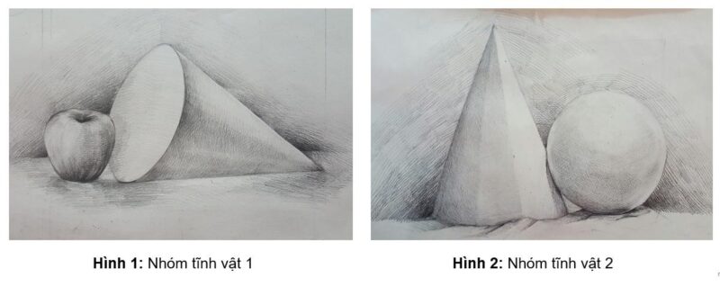 Bản phác thảo các hình khối cơ bản của nhóm vật mẫu tĩnh vật, thể hiện kỹ thuật dựng hình ban đầu