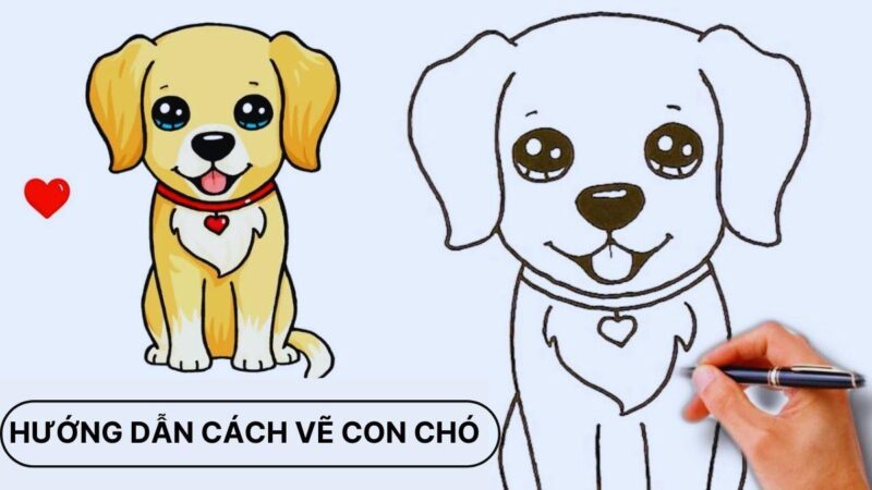 Phác thảo chó bằng hình khối cơ bản nền tảng cho cách vẽ con chó đẹp nhất