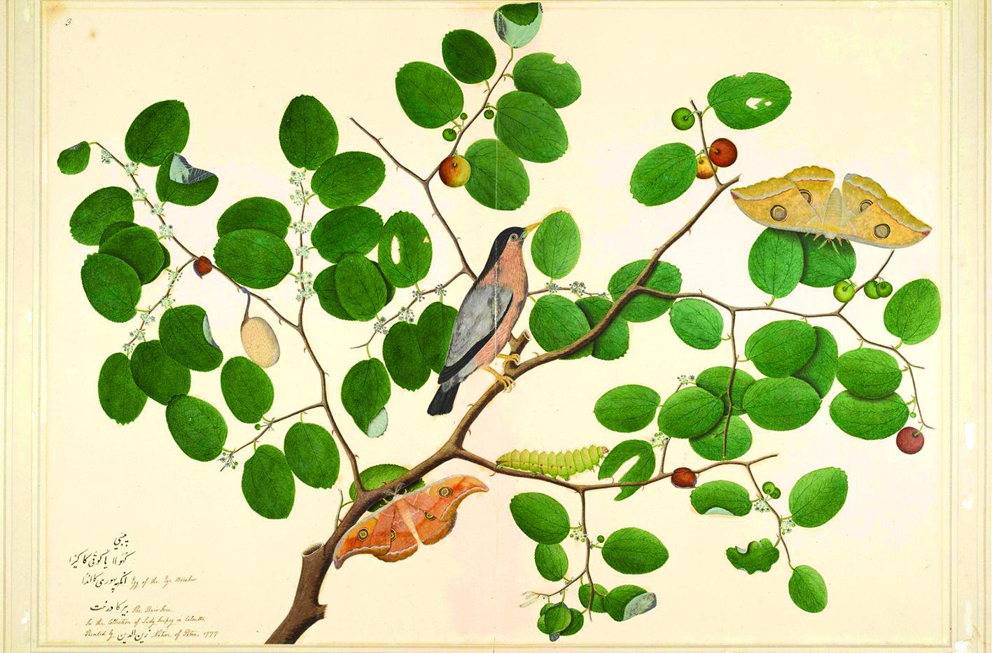 Phong cách hội họa Ấn Độ với tiểu họa Mughal tinh xảo, màu sắc sống động và chi tiết phức tạp