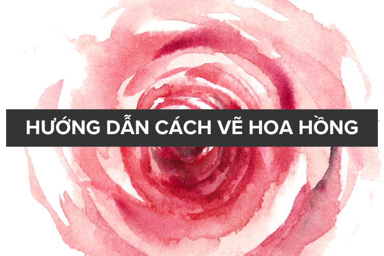 Quá trình phác thảo từng bước vẽ hoa hồng cách điệu đơn giản từ hình khối cơ bản đến chi tiết cách điệu