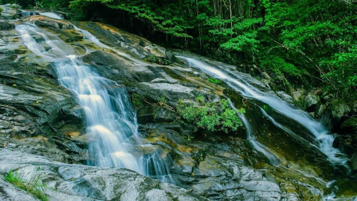 Tranh vẽ thác nước hùng vĩ giữa núi rừng Tây Nguyên, dòng nước cuồn cuộn đổ xuống tạo nên khung cảnh ấn tượng