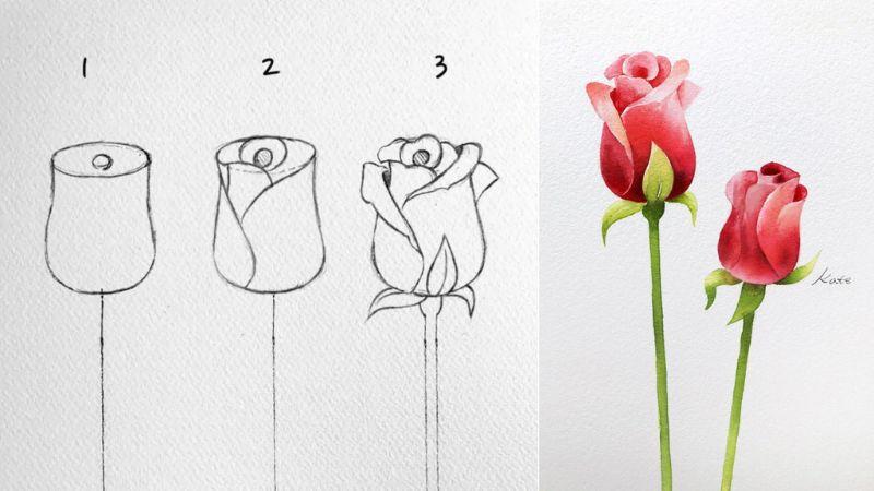 Thêm các lớp cánh hoa đầu tiên xung quanh tâm bông hồng đơn giản và mềm mại