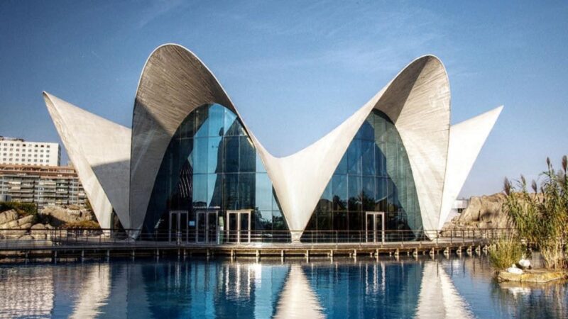 Thiết Kế Kiến Trúc Tiếng Anh Là Gì? Giải Mã Thuật Ngữ Các thuật ngữ tiếng Anh cốt lõi thường gặp trong lĩnh vực thiết kế kiến trúc và xây dựng