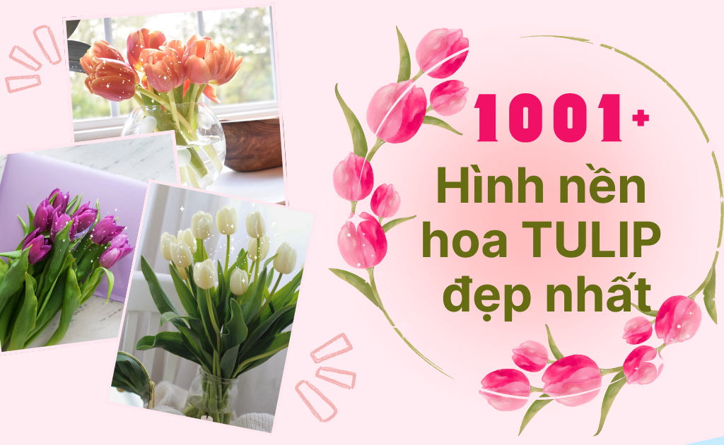 Bức tranh hoa 5 cánh được tô màu rực rỡ với kỹ thuật chuyển màu mềm mại trên cánh hoa