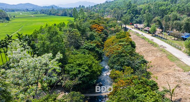 hình ảnh chú cá vàng đơn giản được tô màu cam rực rỡ bơi lội tung tăng trong nước trong xanh