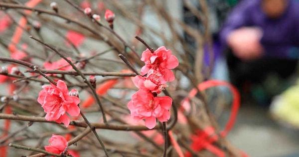 Tranh vẽ gia đình quây quần bên mâm cơm tất niên ngày Tết đầm ấm và vui vẻ