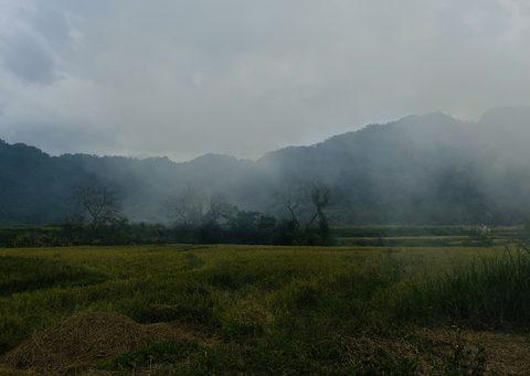 Tranh vẽ người lính bộ đội biên phòng đứng gác bên cành đào rừng ngày Tết nơi biên cương