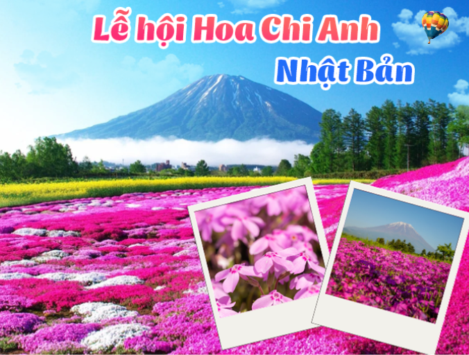 Tranh vẽ Nhật Bản chủ đề thiên nhiên đặc trưng với cảnh núi Phú Sĩ hùng vĩ và hoa anh đào khoe sắc