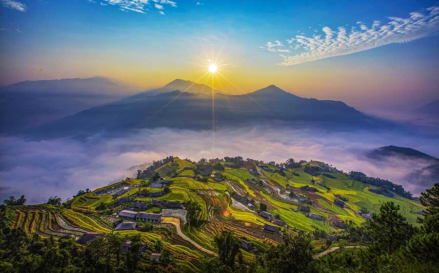 Khám phá vẻ đẹp **tranh vẽ cảnh quê hương** Việt Nam Tranh phong cảnh cánh đồng lúa chín vàng rực rỡ dưới ánh nắng mặt trời, thể hiện sự trù phú