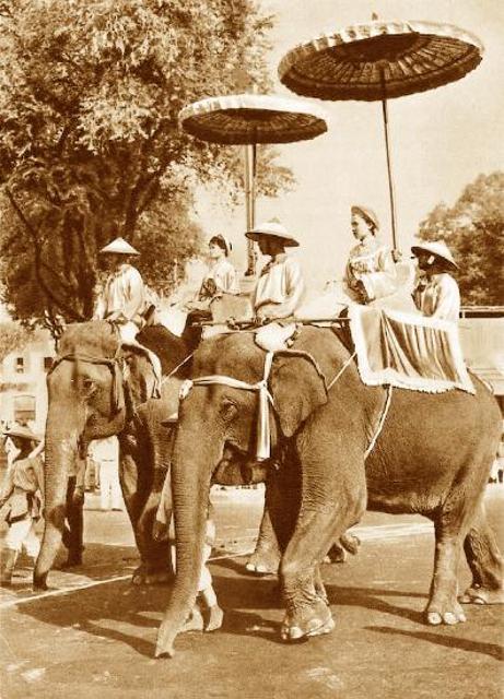 Tranh vẽ phụ nữ Việt Nam mặc áo dài trắng duyên dáng bên hồ sen hồng ngày 8 tháng 3